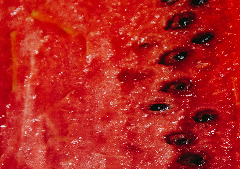 Watermelon Seed Oil