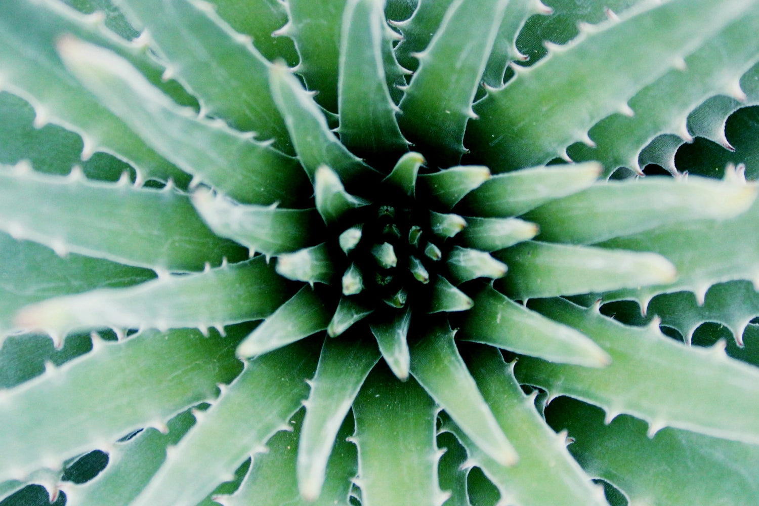 Hydrating Ingredients You Need in Your Skincare Routine
