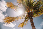 Tinted Sunscreen Explained